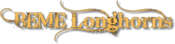 BEME Longhorn logo